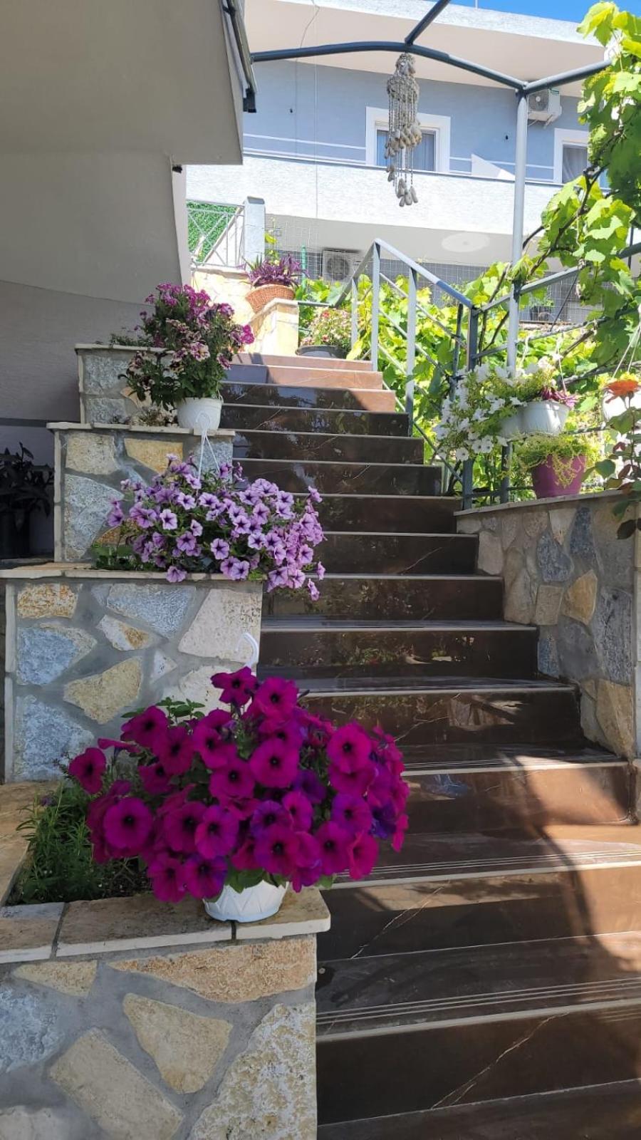 Vila Rafael Sarandë エクステリア 写真